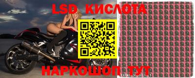 PSILOCYBIN Бугуруслан
