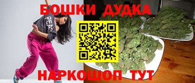 МДПВ Будённовск